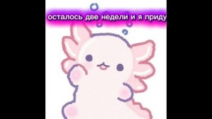 ждите
