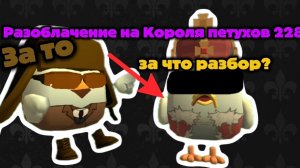 Разоблачение на Короля петухов 228 (ОБИЖЕНКА,НЕСЁТ ПОЛНУЮ ЧУШЬ И ЛИЦЕМЕР😐)[я решил вернуть разбор]