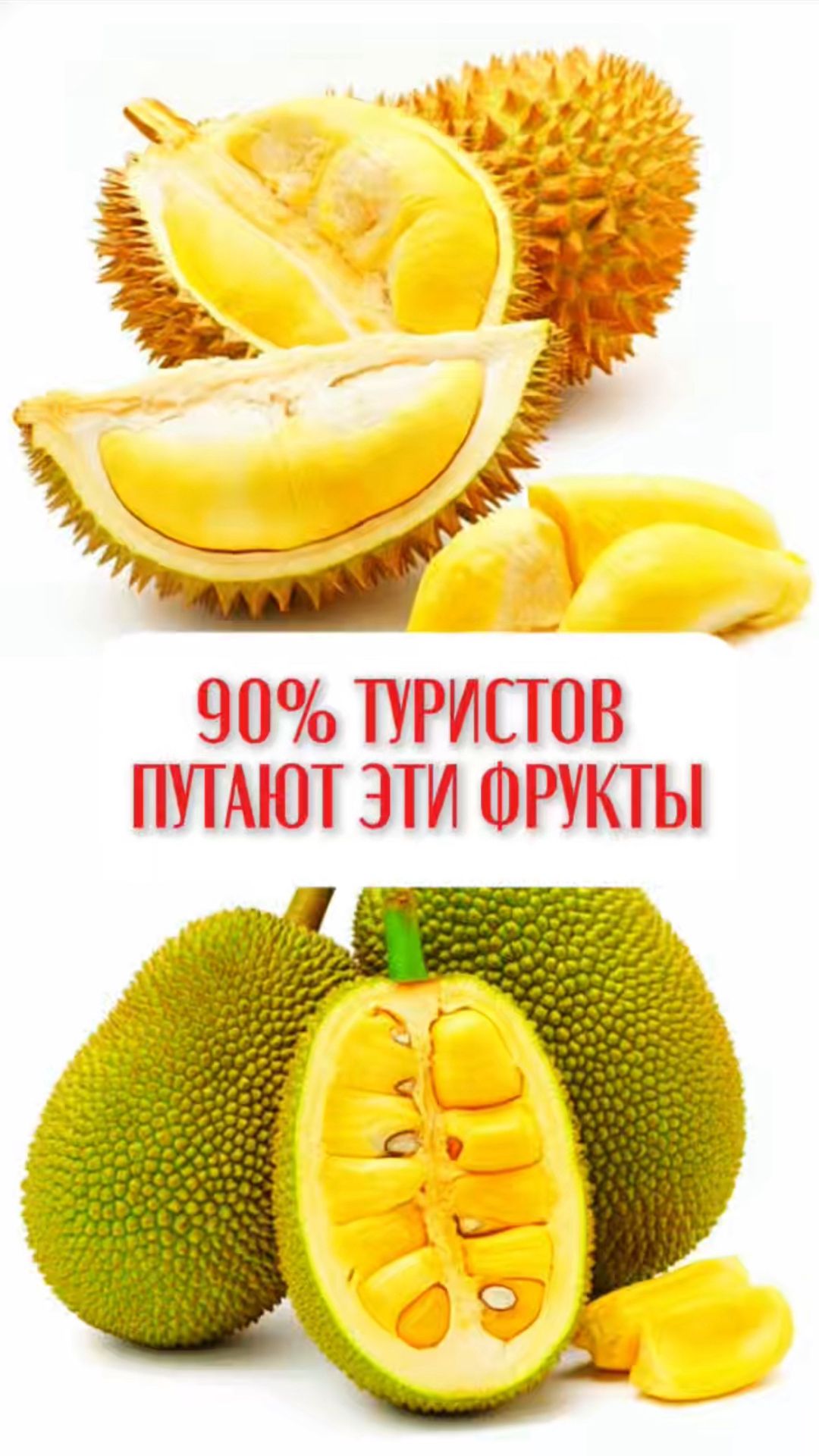 Как их быстро отличить?