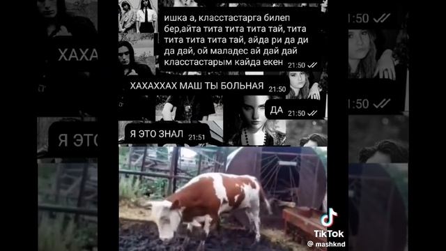 вроде выпускал либо нет смотреть онлайн