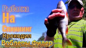 РЫБАЛКА НА КРОКОДИЛЫ ЛОВИТСЯ ЩУКА ОКУНЬ ГУСТЕРА ПЛОТВА НА ФИДЕР