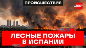 Огненный ад в Испании! Пожары стеной идут на Мадрид. 10 тыс. человек эвакуировали