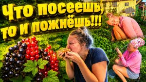 ЧТО ПОСЕЕШЬ ТО И ПОЖНЕШЬ | Дом в деревне | Деревенская жизнь