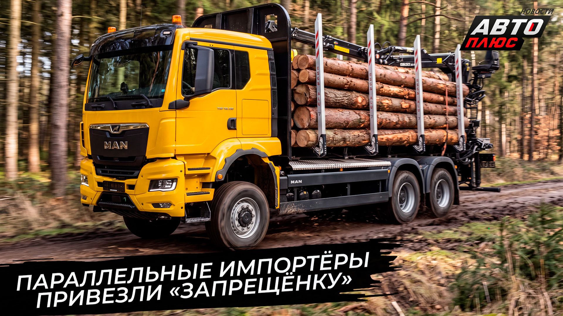 Параллельные импортёры привезли «запрещёнку». Ford Transit снова продаётся 📺 Новости с колёс №3823 смотреть онлайн