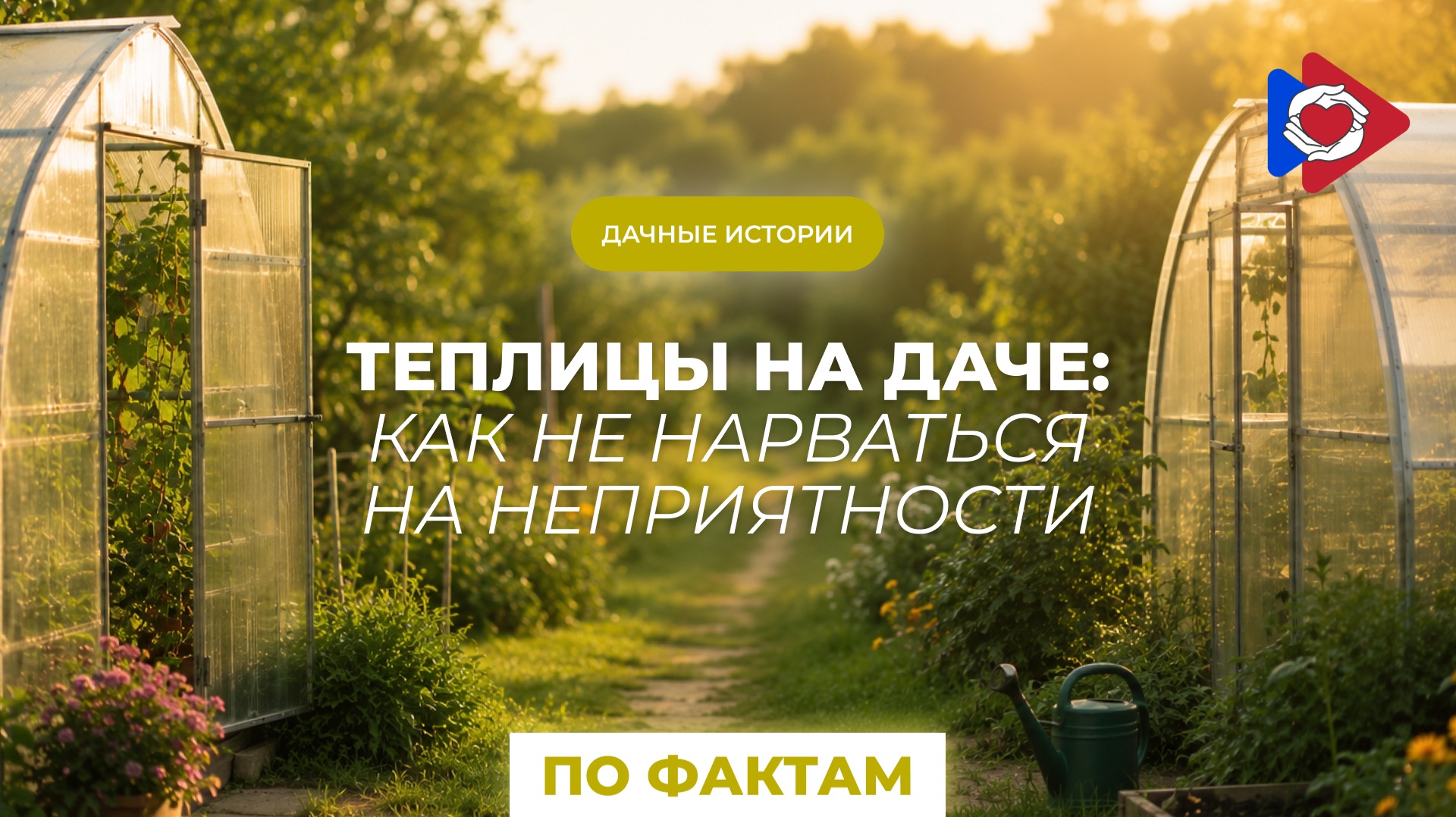 Дачные истории! Теплицы на даче: как не нарваться на неприятности?