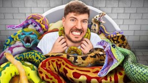 Мистер Бист. Согласились бы вы посидеть рядом со змеями за 100 000$. MrBeast на русском