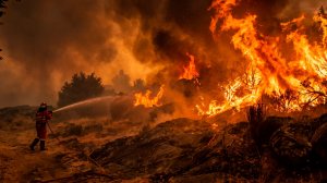 Огненный апокалипсис в Европе: тысячи европейцев покидают свои дома из-за лесных пожаров