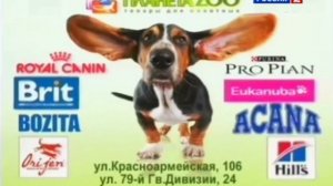 Короткий рекламный блок (Россия 2-Томск 25.07.2026)
