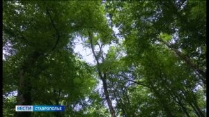 На Ставрополье продлили запрет на въезд в леса