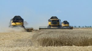 Уборка урожая на полях Ставрополья