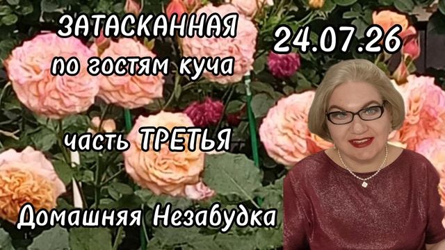 ЗАТАСКАННАЯ по гостям куча😡❗️ТРЕТЬЯ часть. смотреть онлайн