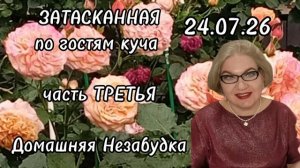 ЗАТАСКАННАЯ по гостям куча😡❗️ТРЕТЬЯ часть.