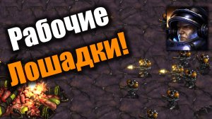 Любимые дропы и очень смелые марики: Starcraft: Remastered