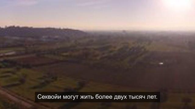 Я ледяной но я таю от воспоминаний 14 смотреть онлайн