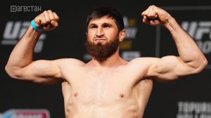 UFC. Магомед Анкалаев сделал вес перед турниром в Абу-Даби
