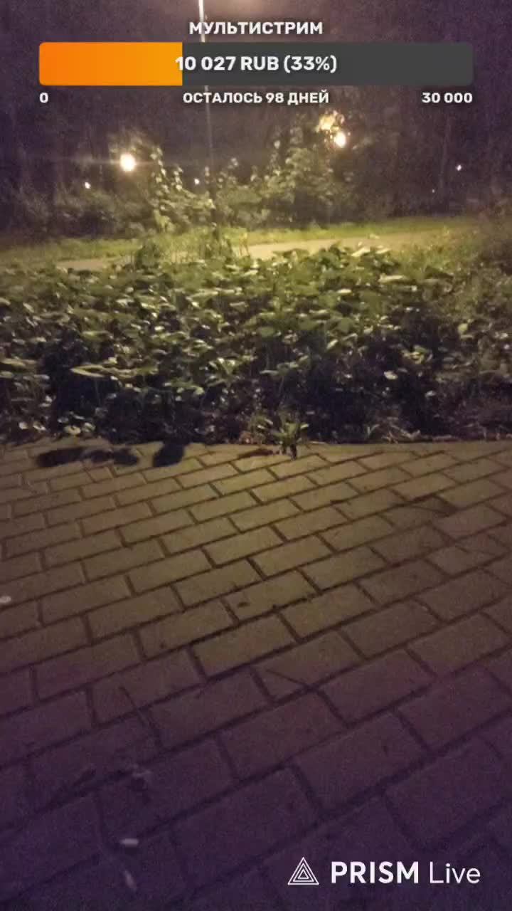 LIVE: РуПол RuPol смотреть онлайн
