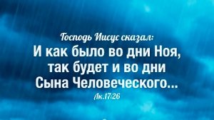 🚢 Как было во дни НОЯбря… 🛳️