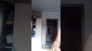 Animal hospital аномалии в реальной жизни!