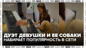 Музыкальный дуэт девушки и ее собаки стал вирусным в Сети - Москва 24