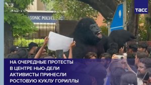 На очередные протесты в центре Нью-Дели активисты принесли ростовую куклу гориллы
