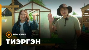 «Тиэргэн» (24.07.26)