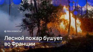 Лесной пожар бушует во Франции, десятки тысяч жителей эвакуированы