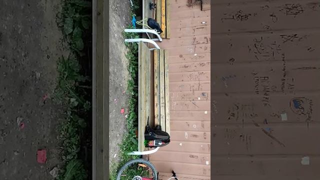 общение зайди пж будет весело смотреть онлайн