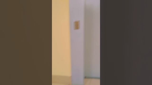 когда я приехала на дачу в город смотреть онлайн