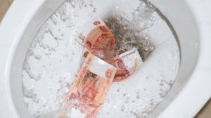 💸 Ребёнок смыл в унитаз 4 500 000 ₽, которые мама взяла в кредит на квартиру — baza