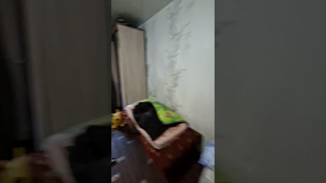 12467.mp4 смотреть онлайн