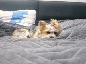 Отвечаем на ваши сообщения