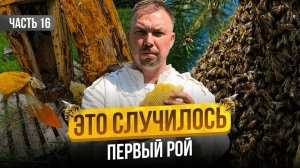 Сбежал с Офиса на Пасеку! Что из Этого Вышло? Строю пасеку с нуля | Серия 16