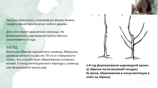 Красивая дача. 24.6 10:00 смотреть онлайн