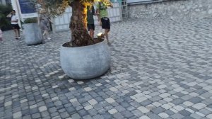 Поздние вечерние Массандровские набережные 23.07.2026