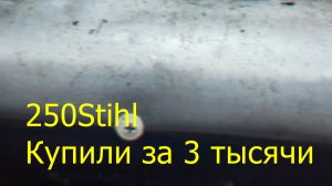 Полная переборка бензопилы Stihl MS 250/Что можно купить за 3 тысячи/Упилили в щи!