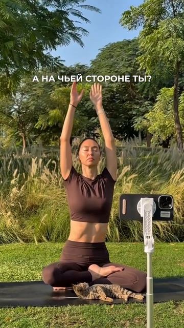 На чьей ты стороне 🧘или 🐈?