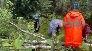 Владимирской области спасатели вывели пенсионерку из леса