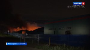 Местное время. Санкт-Петербург от 24.07.2026