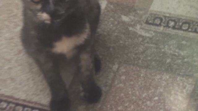 День 5 в изоляции