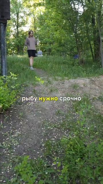 Спасение рыбы