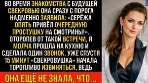 Истории из жизни/Опять простушка привёл в дом- орала свекровь/Аудиорассказы жизненные муж невестка