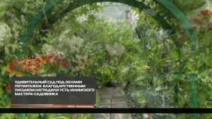 Удивительный сад под окнами пятиэтажки