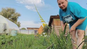 РАБОТА В ОГОРОДЕ,МУЖ ВСПАХАЛ, ВЕЧЕР РЫБКА,,