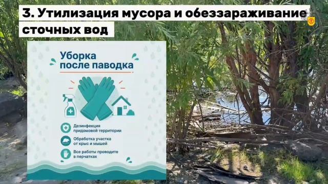 Жизнь после паводка: 5 шагов для безопасности вашего дома и семьи