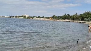 Лечебное озеро Саки 24.07.26.