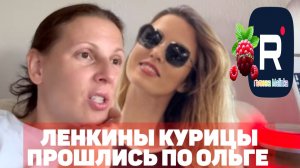 Ленкины курицы прошлись по Ольге /Big Big Family in the USA /Обзор