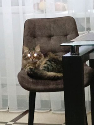 херобрин