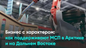 Бизнес с характером: как поддерживают МСП в Арктике и на Дальнем Востоке