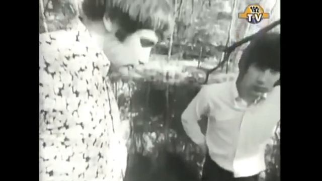 The Troggs - The Night Of The Long Grass (1967) 192tv смотреть онлайн