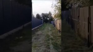 Захват реки Усманка в селе Орлово Новоусманского района Воронежской области